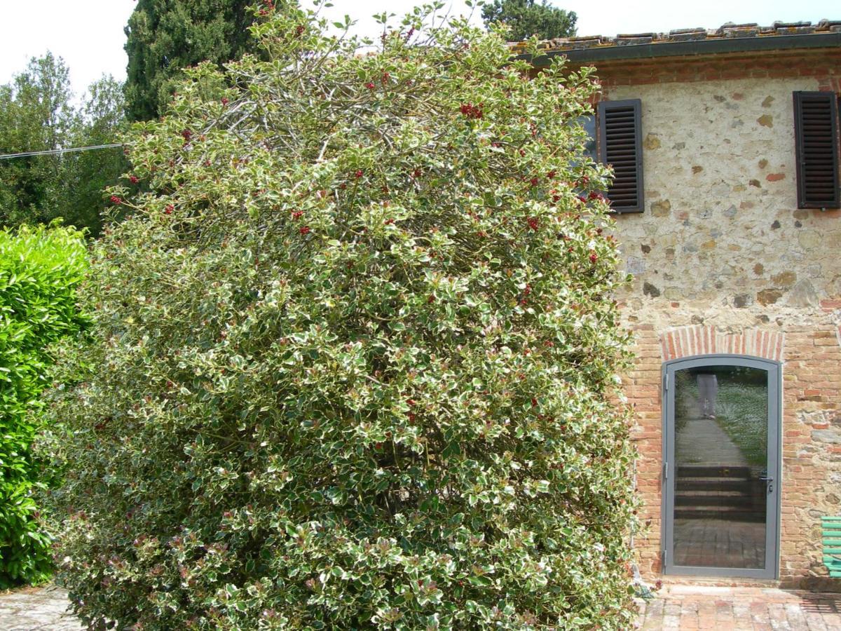 L Agrifoglio Bed and Breakfast Castelnuovo Berardenga Eksteriør billede